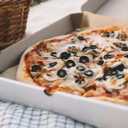 Enjoying a wonderful pizza picnic on a beautiful day.